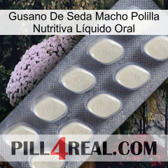 Gusano De Seda Macho Polilla Nutritiva Líquido Oral 08